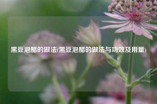 黑豆泡醋的做法(黑豆泡醋的做法与功效及用量)