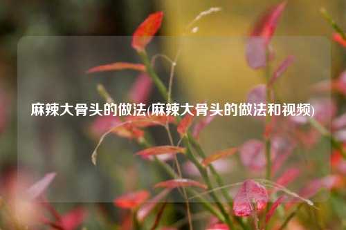 麻辣大骨头的做法(麻辣大骨头的做法和视频)