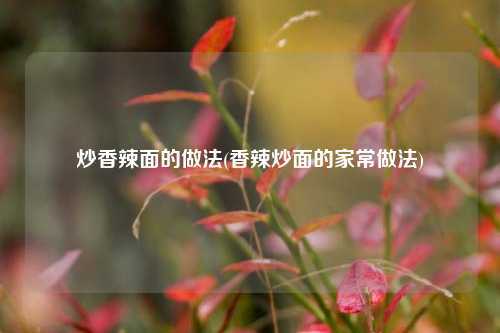 炒香辣面的做法(香辣炒面的家常做法)