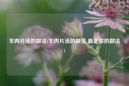 羊肉片汤的做法(羊肉片汤的做法 最正宗的做法)