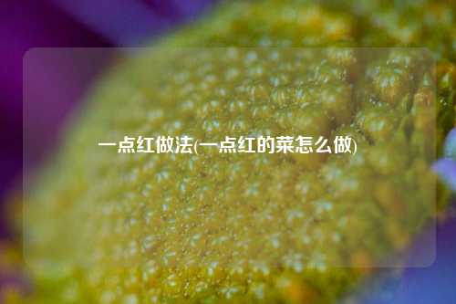 一点红做法(一点红的菜怎么做)