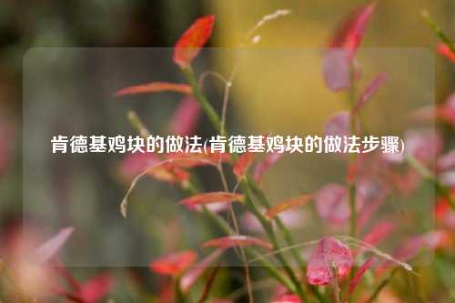 肯德基鸡块的做法(肯德基鸡块的做法步骤)