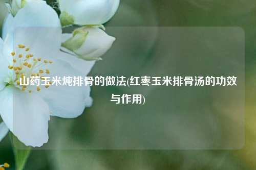 山药玉米炖排骨的做法(红枣玉米排骨汤的功效与作用)