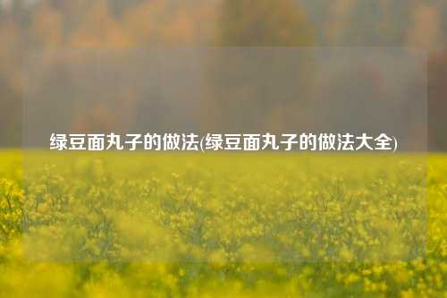 绿豆面丸子的做法(绿豆面丸子的做法大全)