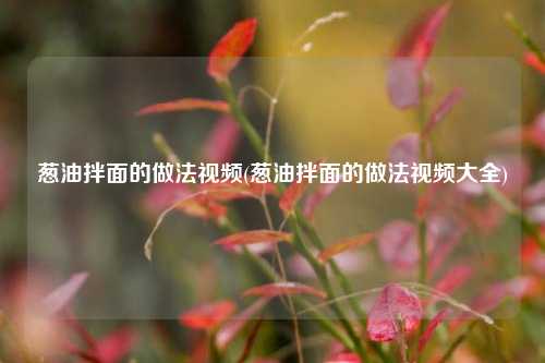 葱油拌面的做法视频(葱油拌面的做法视频大全)