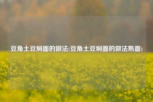 豆角土豆焖面的做法(豆角土豆焖面的做法熟面)