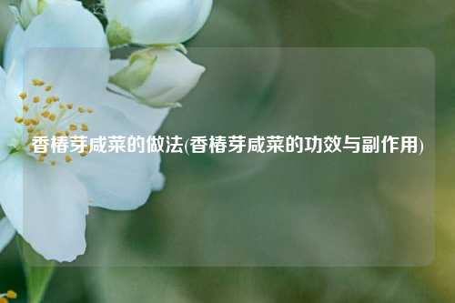 香椿芽咸菜的做法(香椿芽咸菜的功效与副作用)