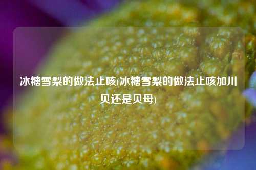 冰糖雪梨的做法止咳(冰糖雪梨的做法止咳加川贝还是贝母)