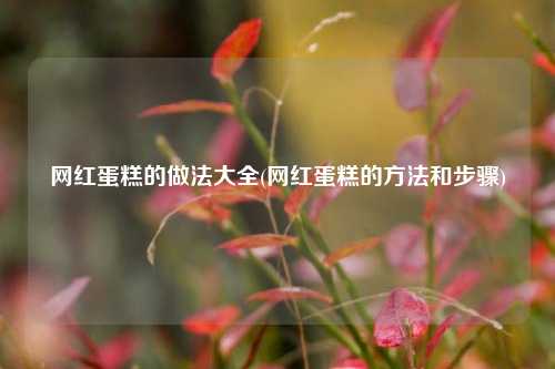 网红蛋糕的做法大全(网红蛋糕的方法和步骤)