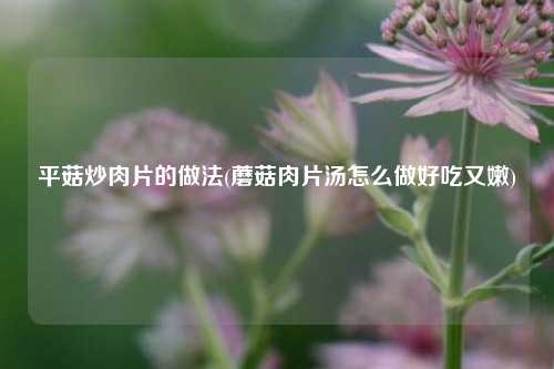 平菇炒肉片的做法(蘑菇肉片汤怎么做好吃又嫩)