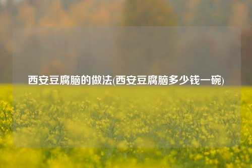 西安豆腐脑的做法(西安豆腐脑多少钱一碗)
