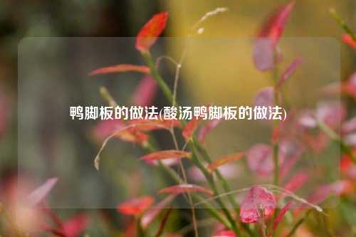 鸭脚板的做法(酸汤鸭脚板的做法)