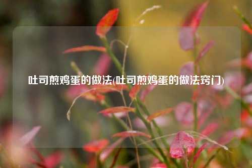 吐司煎鸡蛋的做法(吐司煎鸡蛋的做法窍门)