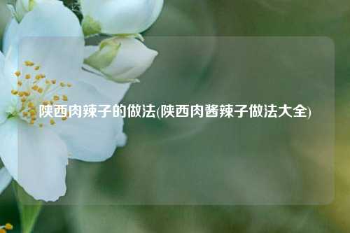 陕西肉辣子的做法(陕西肉酱辣子做法大全)