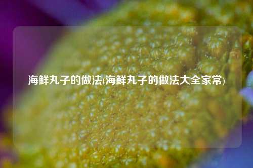 海鲜丸子的做法(海鲜丸子的做法大全家常)
