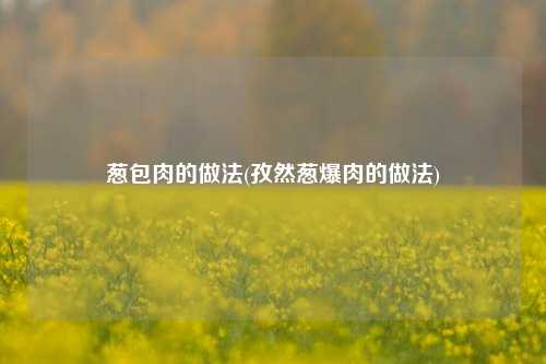 葱包肉的做法(孜然葱爆肉的做法)