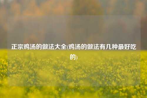 正宗鸡汤的做法大全(鸡汤的做法有几种最好吃的)