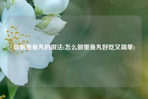 自制墨鱼丸的做法(怎么做墨鱼丸好吃又简单)
